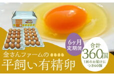 【定期便6回】【平飼い有精卵】60個入（54個+割れ保証6個） 合計360個 たまご 卵 玉子 鶏卵 平飼い 有精卵 定期便