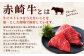 【3回定期便】 赤崎牛 【赤身レンガステーキ】（約600g×3回 合計約1.8kg）【冷蔵】