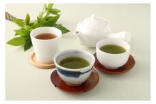 ハラール認証茶 中山吉祥園こだわりの八女茶ティーバッグ3種セット【朝露・玄米茶・ほうじ茶】 八女茶 お茶 茶 詰合せ セット