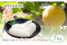  梨 7kg 【2025年8月上旬～12月上旬発送予定】 九州産 なし 果物 フルーツ