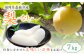  梨 7kg 【2025年8月上旬～12月上旬発送予定】