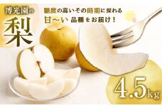 美味しい 【九州産】 梨 4.5kg 【2025年9月下旬～12月下旬迄発送予定】 豊水 20世紀 新高 新興 果物