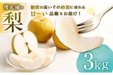 梨 3kg 【2025年9月下旬～12月下旬迄発送予定】 なし 果物 くだもの フルーツ 豊水 20世紀 新高 新興