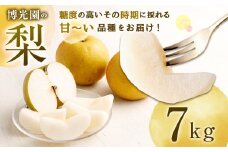 美味しい 【九州産】 梨 7.0kg 【2025年9月下旬～12月下旬迄発送予定】 豊水 20世紀 新高 新興 果物