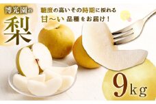美味しい 【九州産】 梨 9.0kg 【2025年9月下旬～12月下旬迄発送予定】 豊水 20世紀 新高 新興 果物