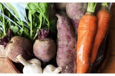 「元気になりたい人に届けたい」秋冬の野菜セット 詰め合わせ おまかせ 7種前後 福岡県産 【2025年11月上旬-2026年2月上旬迄に順次発送予定】