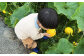 「元気になりたい人に届けたい」秋冬の野菜セット
