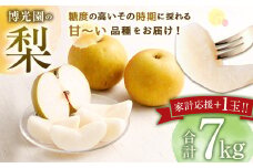 【家計応援】【数量限定】梨 7.0kg+1玉 【2025年9月下旬-12月下旬発送予定】 豊水 20世紀 新高 新興 果物 フルーツ