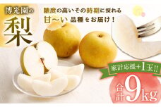 【家計応援】【数量限定】梨 9.0kg+1玉 【2025年9月下旬-12月下旬発送予定】 豊水 20世紀 新高 新興 果物 フルーツ