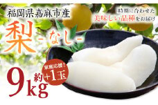 【家庭応援】 梨 9.0kg+1玉 【2025年8月上旬-12月上旬発送予定】 ナシ フルーツ くだもの 福岡県 嘉麻市