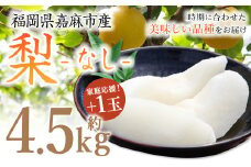 【家庭応援】 梨 4.5kg+1玉 【2025年8月上旬-12月上旬発送予定】 ナシ フルーツ くだもの 福岡県 嘉麻市