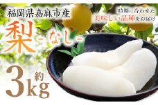 梨 3.0kg 【2025年8月上旬-12月上旬発送予定】 ナシ フルーツ くだもの 福岡県 嘉麻市