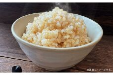 【れんげ米】【令和7年産】 元気つくし（玄米） 10kg（5kg×2袋） お米 玄米 【2025年9月下旬-12月下旬迄順次発送予定】