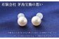 WG（K14） あこや真珠ピアス 7.5mm