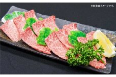 博多和牛 カルビ 焼肉 約700g×1パック 和牛 国産牛 牛肉 お肉 肉 カルビ肉 バラ肉 バラ 焼き肉 グルメ 九州 福岡県 嘉麻市 冷凍