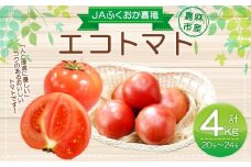 JAふくおか嘉穂 嘉穂のこくうま エコトマト4kg とまと 福岡県 嘉麻市 【2026年1月下旬-6月上旬迄順次発送予定】