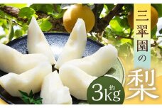 三翠園の梨 3.0kg 【2025年12月上旬迄順次発送予定】 3キロ 梨 なし ナシ 果物 果実 フルーツ 幸水 豊水 二十世紀 あきづき 新高 新興 九州 福岡県 嘉麻市 冷蔵
