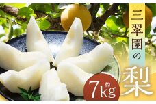 三翠園の梨 7.0kg 【2025年12月上旬迄順次発送予定】 7キロ 梨 なし ナシ 果物 果実 フルーツ 幸水 豊水 二十世紀 あきづき 新高 新興 九州 福岡県 嘉麻市 冷蔵