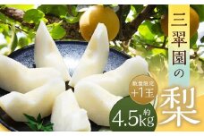 【数量限定】 三翠園の梨 4.5kg + 1玉 【2025年12月上旬迄順次発送予定】 梨 なし ナシ 果物 果実 フルーツ 幸水 豊水 二十世紀 あきづき 新高 新興 九州 福岡県 嘉麻市 冷蔵