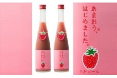 あまおう梅酒　500ml×2本　＜篠崎＞