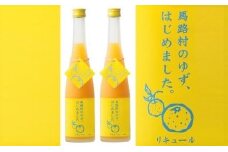 ゆず梅酒　500ml×2本　＜篠崎＞