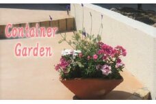 可愛いピンクのお花たっぷりの寄せ植え