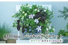 季節のお花でハンキングバスケット（グリーン･ホワイト･ブルー系）