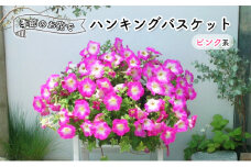季節のお花でハンキングバスケット（ピンク系）