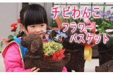 チビわんこのフラワーバスケット（1匹）