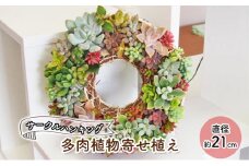 多肉植物のサークルハンキング