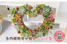 可愛いハートの多肉植物寄せ植え
