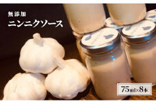 無添加 にんにく ソース 75g×8本 セット あさくらの恵み ニンニクソース ニンニク バーニャカウダ 調味料 ※配送不可：離島