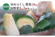お米10kgと季節のお野菜セット