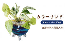 カラーサンド（ガラス花器：丸）ブルー・パープル系
