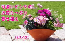 可愛いピンクのお花たっぷりの寄せ植え（舟形Mサイズ）1個