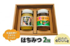 はちみつ セット 各500g×2個 レンゲブレンド 野山のハチミツ 詰め合わせ 食べ比べ 蜂蜜 ハチミツ