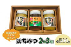 はちみつ セット 2種 レンゲブレンド 500g×2個 野山のハチミツ 500g×1個 詰め合わせ 食べ比べ 蜂蜜 ハチミツ
