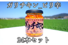 【ガリチキン-ピリ辛】チキンのガーリックオイル漬け_ピリ辛（標準サイズ110g）24本セット