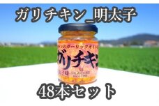 ★48本セット★【ガリチキン-明太子味】チキンのガーリックオイル漬け_明太子味（標準サイズ110g）