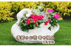 花 寄せ植え 季節のお花 白鳥型鉢 植物 ガーデン インテリア