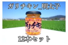 ガリチキン 明太子味 110g×12本
