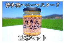 博多流 ハニーマスタード 130g×12本