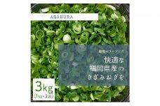 野菜 カット ねぎ 3kg（1kg×3袋）長ネギ 配送不可エリア有り