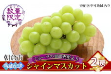 シャインマスカット 2房 フルーツの里の直売所より 葡萄 果物類 ぶどう 皮ごと 高い糖度 ※配送不可：離島