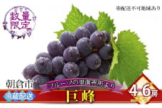 フルーツの里の直売所より 巨峰 果物類 ぶどう ※配送不可：離島