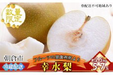 梨 フルーツの里の直売所より 幸水梨 2.5kg ナシ 果物 先行予約 子供 おやつ くだもの ※配送不可：離島