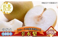 フルーツの里の直売所より 幸水梨 5kg 九州の梨 天然の甘み 安心 安全 お歳暮 ギフト ※配送不可：離島