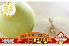 フルーツの里の直売所より 二十世紀梨 2.5kg ナシ 果物 先行予約 