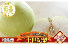 フルーツの里の直売所より 二十世紀梨 5kg ナシ 果物 先行予約 