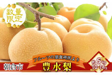 フルーツの里の直売所より 豊水梨 5kg ナシ 果物 先行予約 